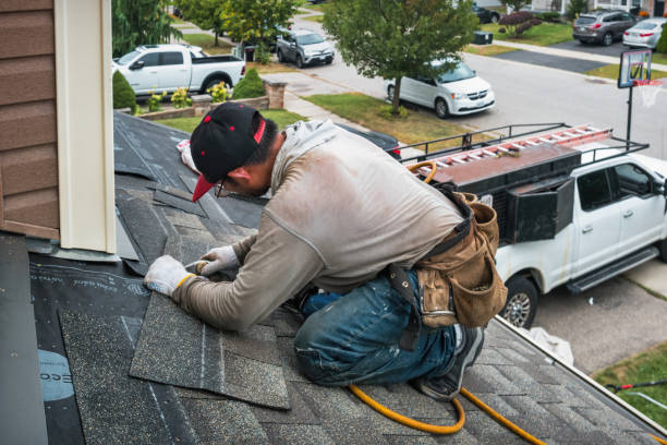 Professional Storm Damage Roof Repair technician working in Ault, CO
